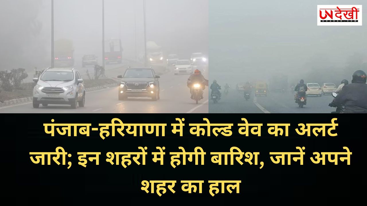 पंजाब-हरियाणा में कोल्ड वेव का अलर्ट जारी; इन शहरों में होगी बारिश, जानें अपने शहर का हाल